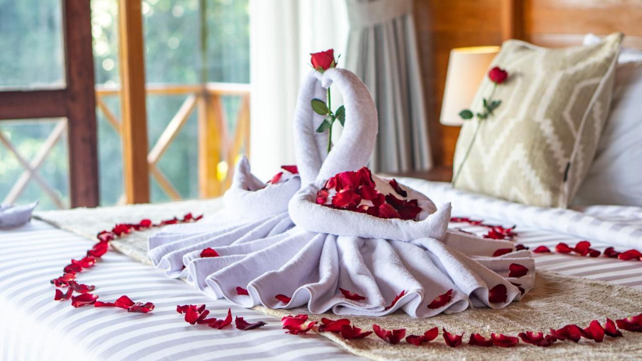 Anja Villas Ubud Tegallalang  Εξωτερικό φωτογραφία