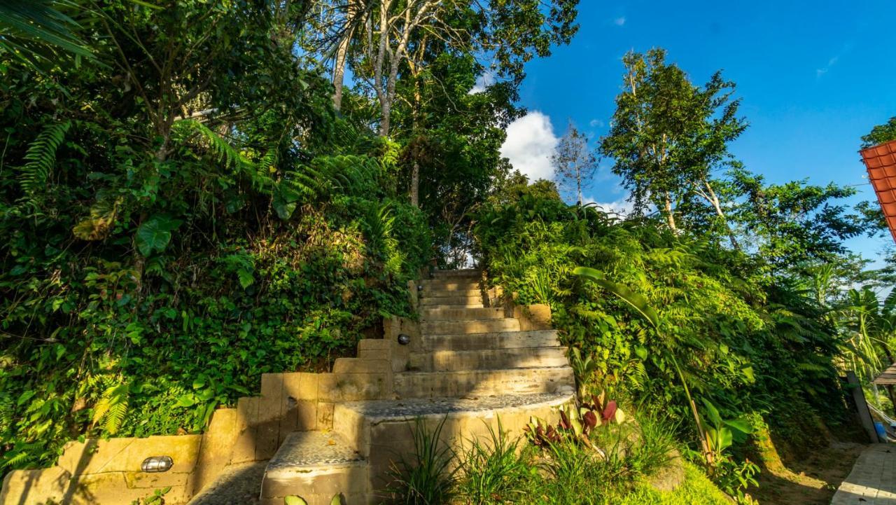 Anja Villas Ubud Tegallalang  Εξωτερικό φωτογραφία